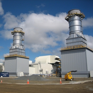 ERM - Braemar 2 Power Station